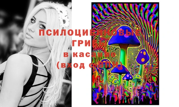 кокс Аркадак