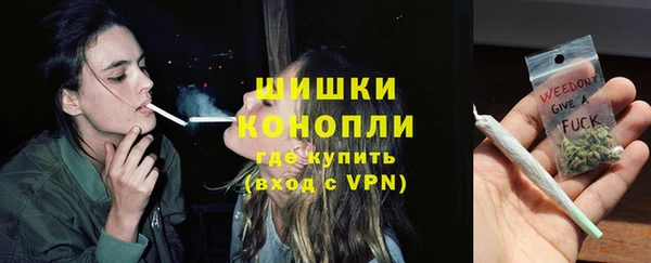 соль ск Няндома