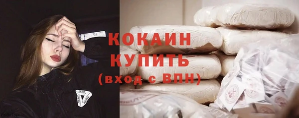 соль ск Няндома