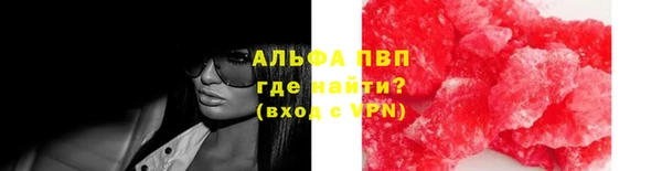 сатива Нягань